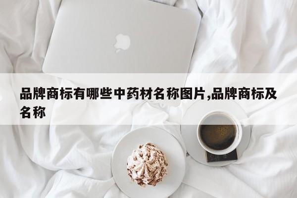 品牌商标有哪些中药材名称图片,品牌商标及名称